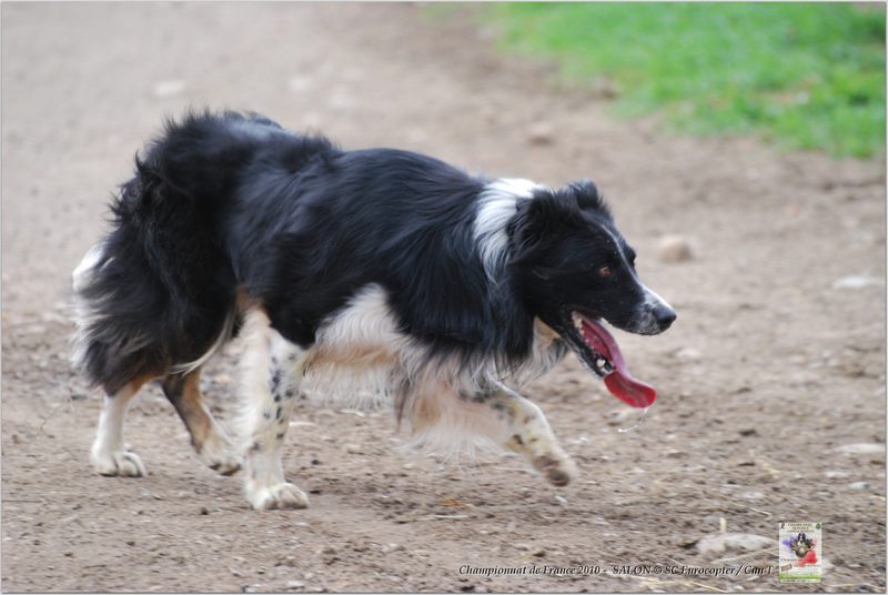 Hibert_Black Jack_Samedi_0095w-web.jpg